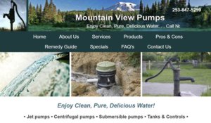 Mountain View Pumps
